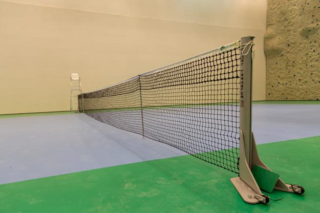 PROFESSIONAL TENNIS NET (2)