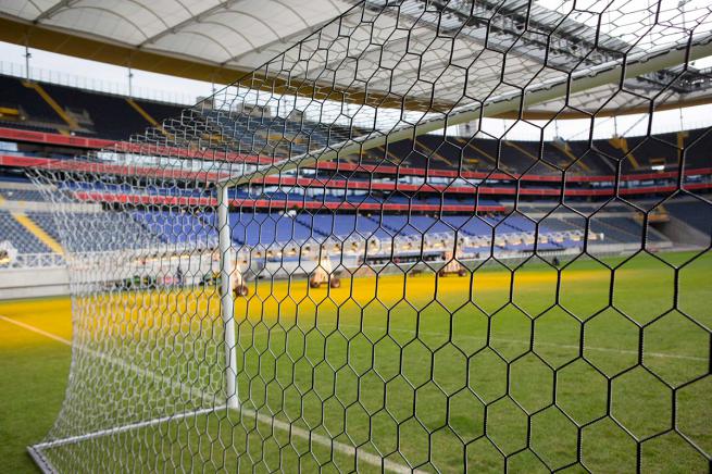 PROFESSIONAL GOAL NET - 7,32X2,44 M, PP 3,5MM, 200/200 (2)