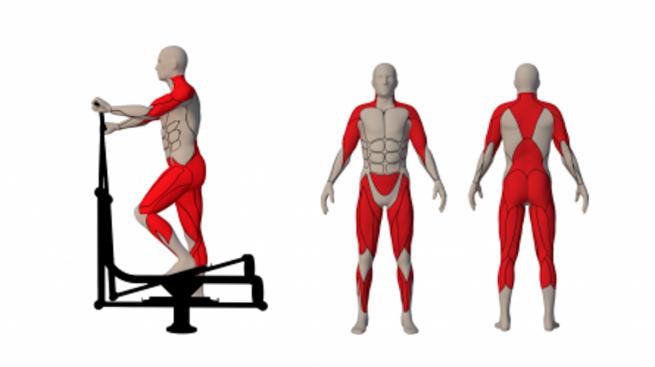 ELLIPTICAL CROSS TRAINER (2)