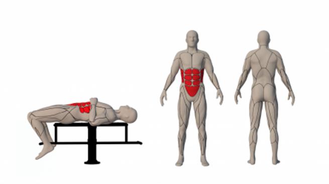 STRAIGHT BENCH (2)
