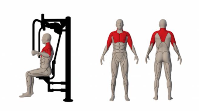 CHEST PRESS A (2)