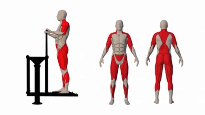 AIR WALKER (2)