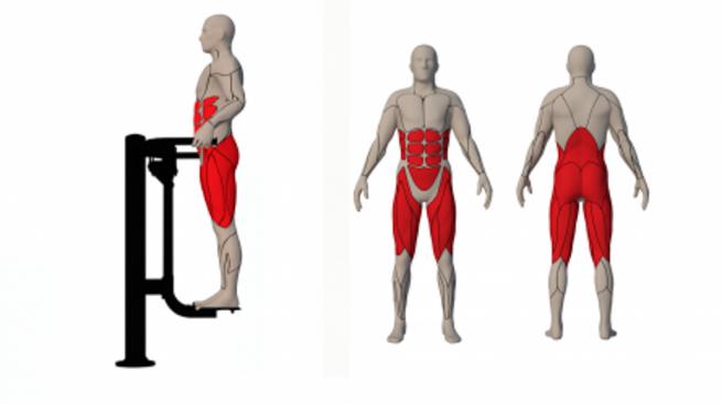 ADDUCTOR/ABDUCTOR (2)