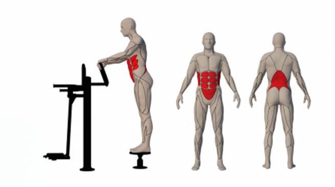 PENDULUM/TWISTER (2)