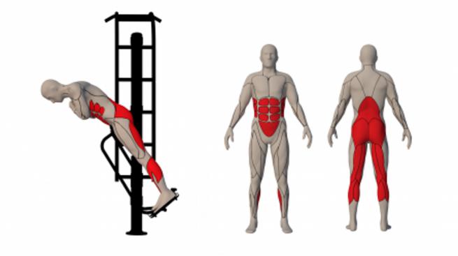 Exercise ladder/Back extension