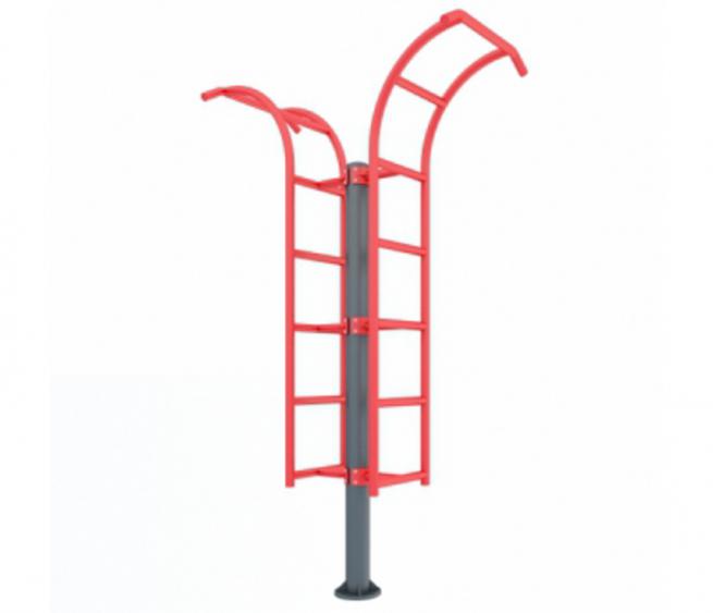 Double exercise ladder
