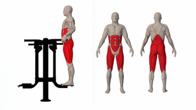 Double Adductor/Abductor