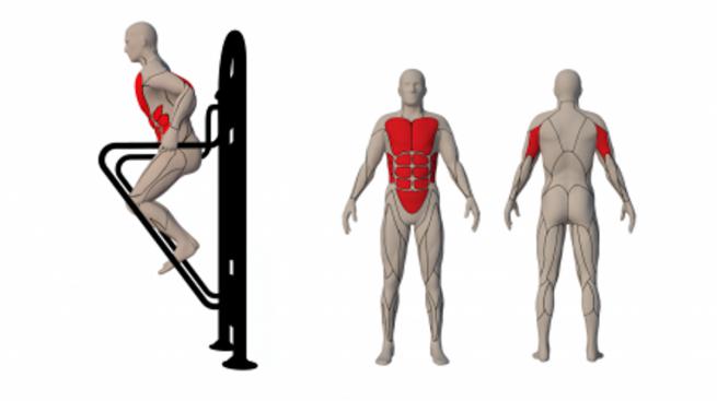 PARALLEL BARS (2)