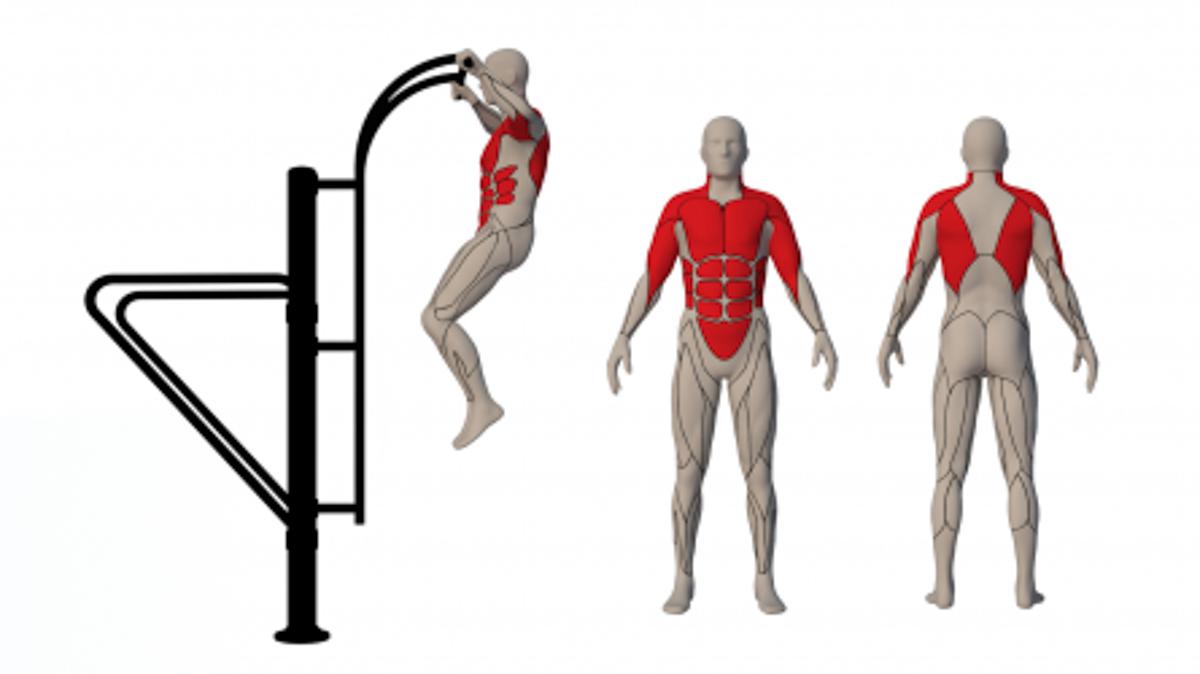 Parallel bars/Exercise ladder
