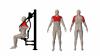 mini: ARM PRESS (2)