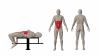 mini: STRAIGHT BENCH (2)