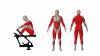 mini: ROWING MACHINE (2)