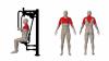 mini: CHEST PRESS A (2)